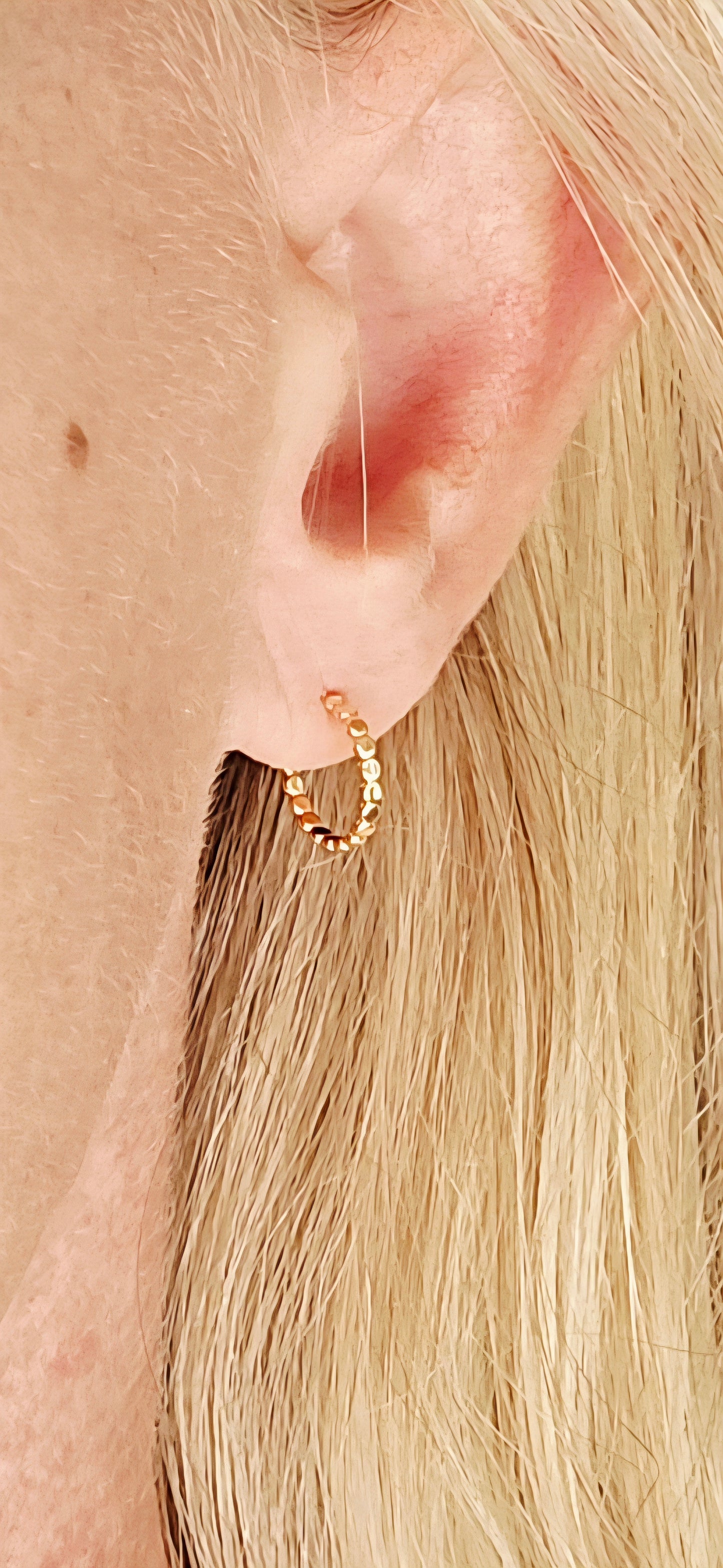 Dani's dainty hoops